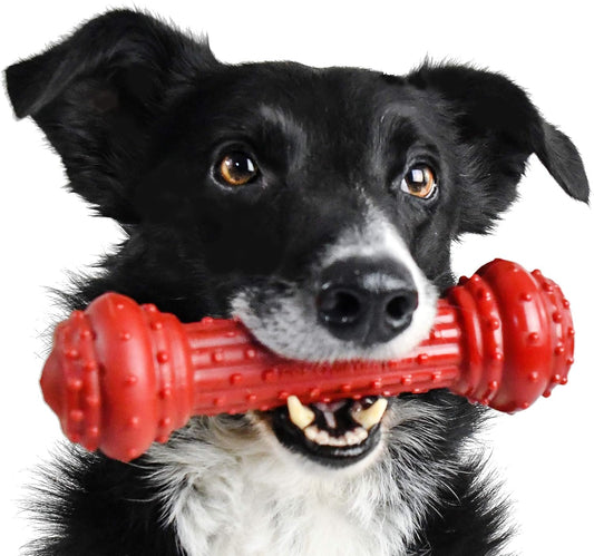 Bongo Barkbone - Nylon Dog Bone for Aggressive Chewers - Prime Rib Flavor - Large