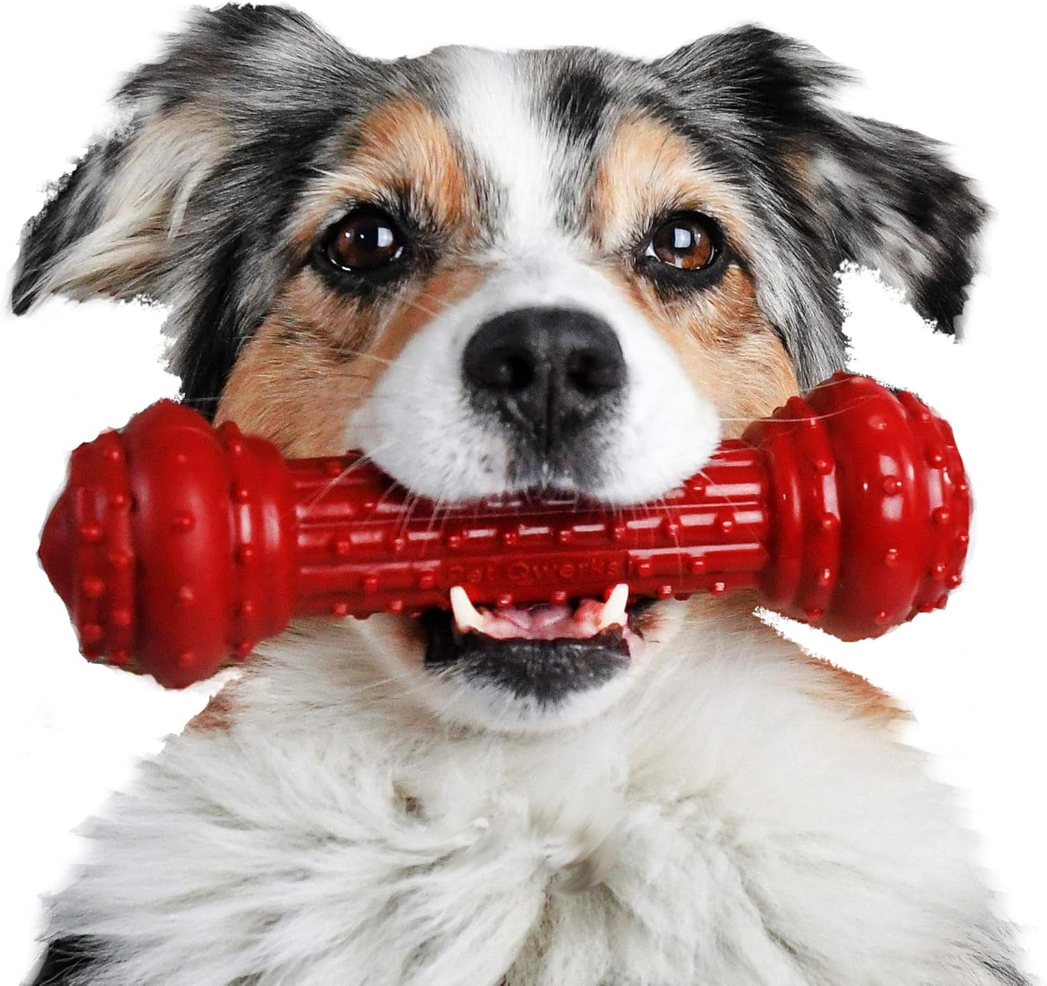 Bongo Barkbone - Nylon Dog Bone for Aggressive Chewers - Prime Rib Flavor - Large