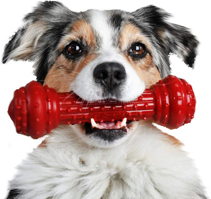 Bongo Barkbone - Nylon Dog Bone for Aggressive Chewers - Prime Rib Flavor - Large