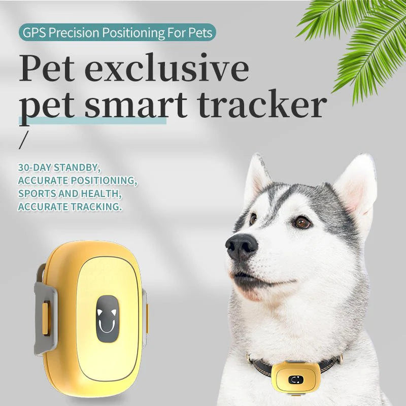 HEYBO Pet Activity Monitor Tracker Measure Pet Step Track Dog Cat Health Monitor with WIFI
