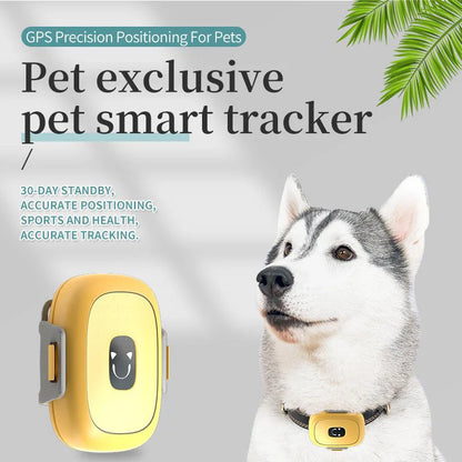 HEYBO Pet Activity Monitor Tracker Measure Pet Step Track Dog Cat Health Monitor with WIFI