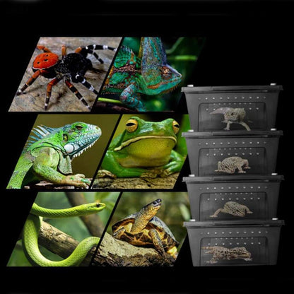Portable Reptile Terrarium Habitat for Mini Pet Houses Breathable Holes Stackable Container (Black-L)