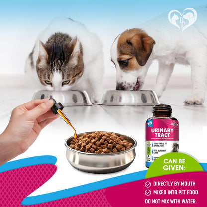 Cat Dog Urinary Tract Infection Treatment Natural UTI Medicine Cranberry 2 Pack 60 Ml D Mannose Kidney Bladder Support Best for Incontinence Pet Renal Health & Care Drops