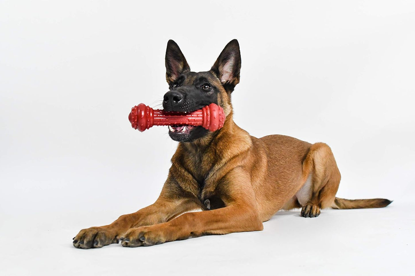 Bongo Barkbone - Nylon Dog Bone for Aggressive Chewers - Prime Rib Flavor - Large