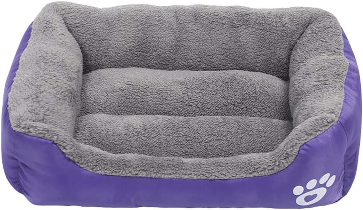 Pet Bed Ultra Soft Cuddler Pet Bed Fleece Pet Sofa for Cats & Dogs (M, Purple)
