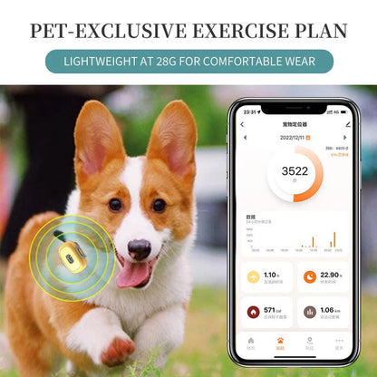 HEYBO Pet Activity Monitor Tracker Measure Pet Step Track Dog Cat Health Monitor with WIFI