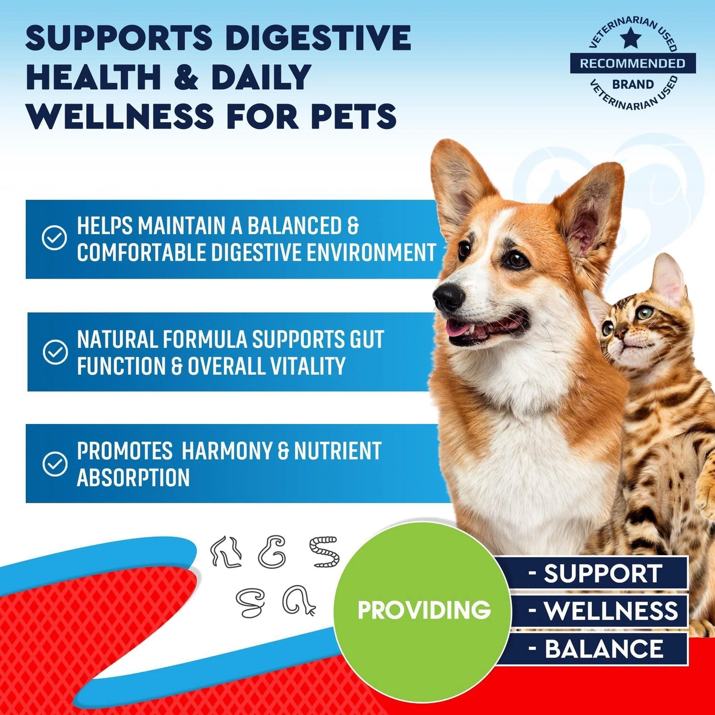 Natural Intestinal Defense for Dogs Cats Herbal Cleanse with Wormwood Black Walnut Promotes Healthy Gut Flora Balance Advanced Broad Spectrum Formula 2 Pack 60Ml