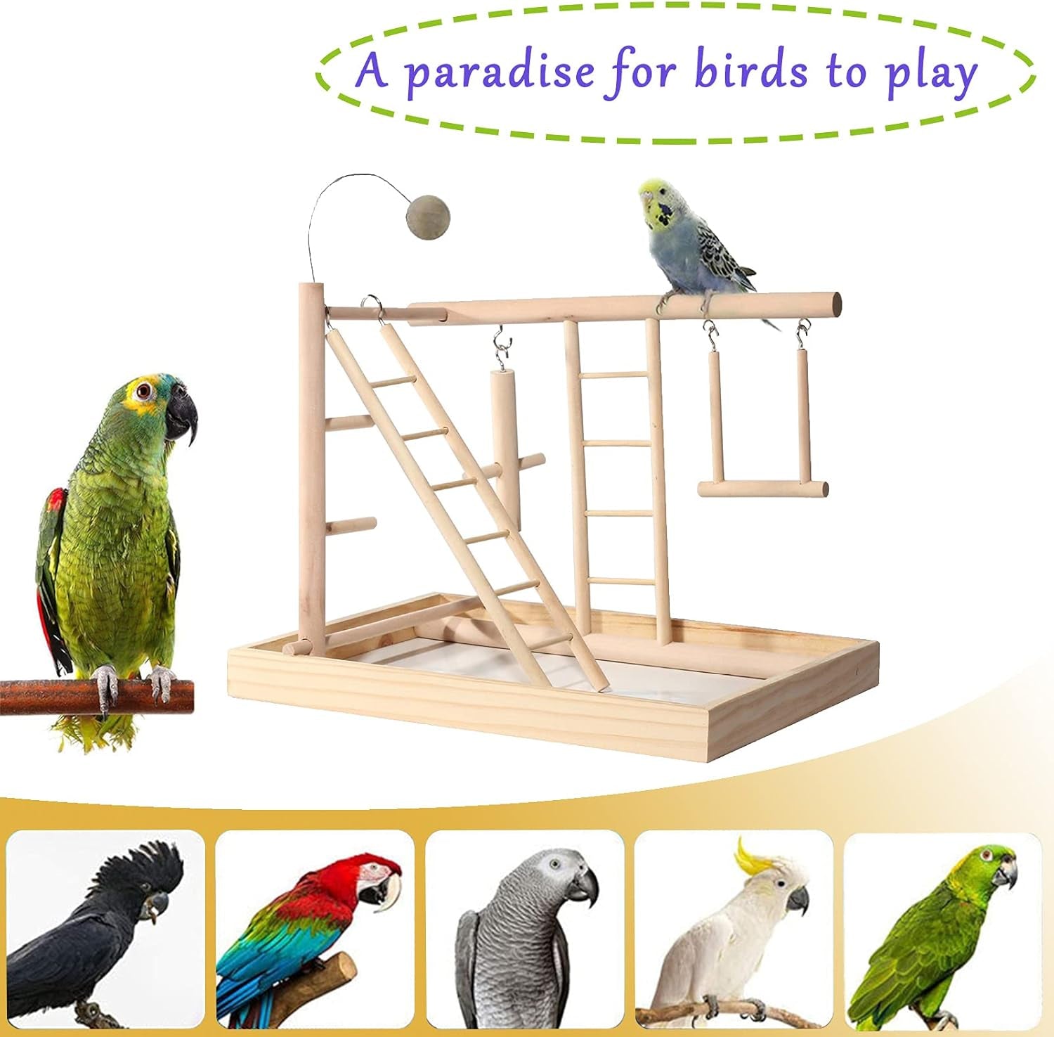 Natural Wood Parrot Playground, Bird Stand Bird Playground Cockatiel Toys, Budgie Parakeet Pigeon Conure Bird Play Stand for Parrot Perch, Play, Rest, for 3-4Pcs Small Medium Birds Accessories