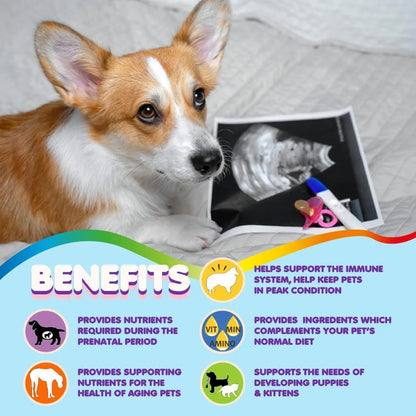 Prenatal Dog Vitamins Multivitamin for Dogs and Cats with Folic Acid Minerals